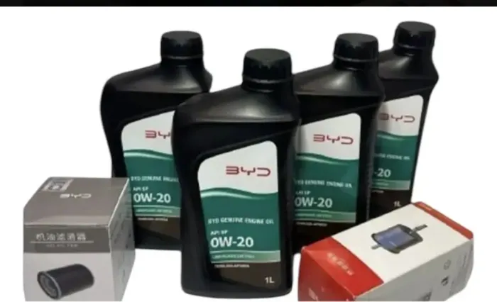 Kit revisao Byd king