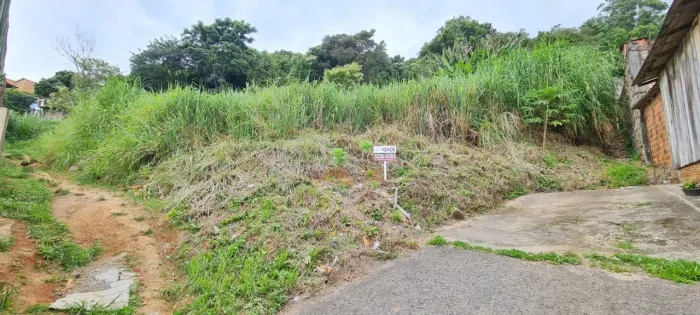 Terreno de 5688m² no bairro Agronômica