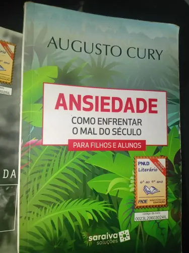 Livros ansiedade como enfrentar o mal do século- USADO