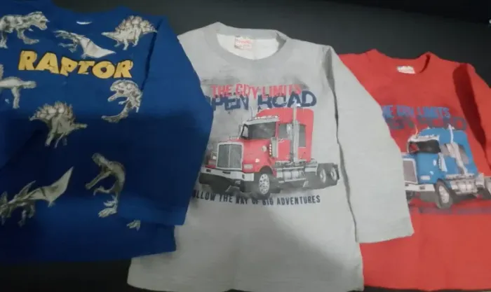 Blusas moletom brandili