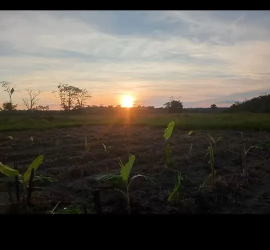 Chácara quatro hectares dentro da cidade