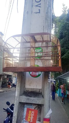 Voador para aves A 0,33 X L 0,22 X C 0,50cm com divisória Semi novo