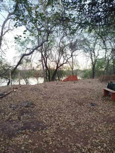 Terreno a beira do Rio São Francisco