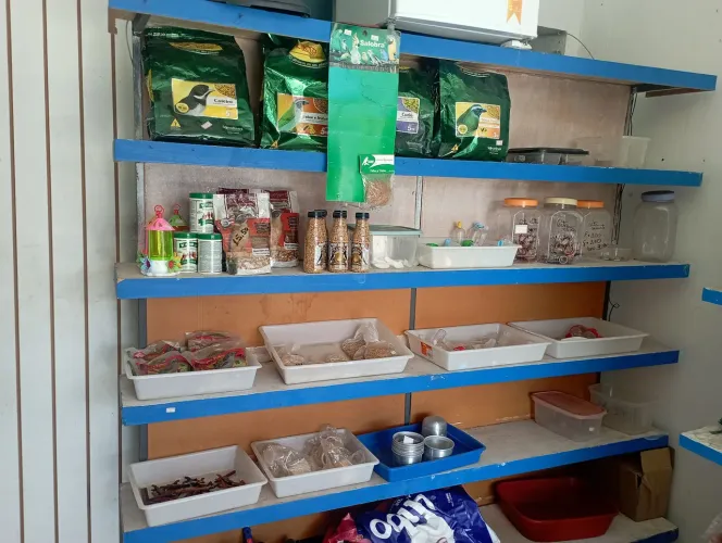 PRATELEIRA FERRO E MADEIRA 