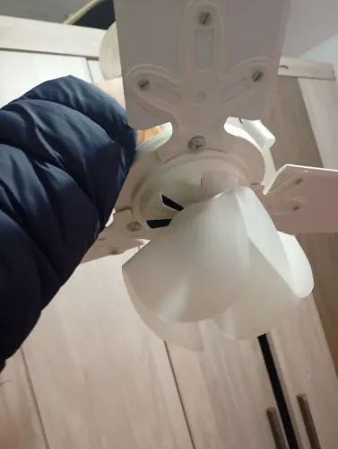 Ventilador de teto