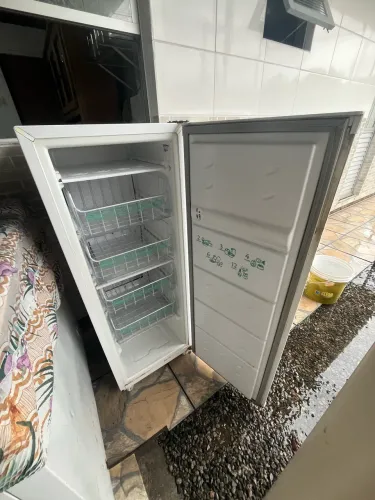 Freezer vertical