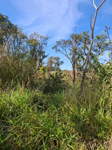 Terreno Comercial para venda na Vila Aviação B, Bauru - SP