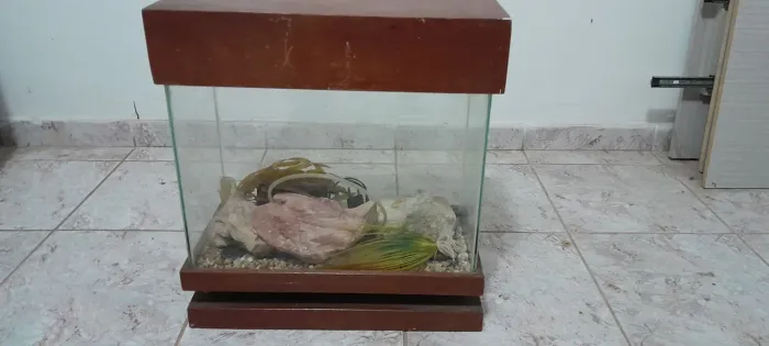 Aquário 24 litros
