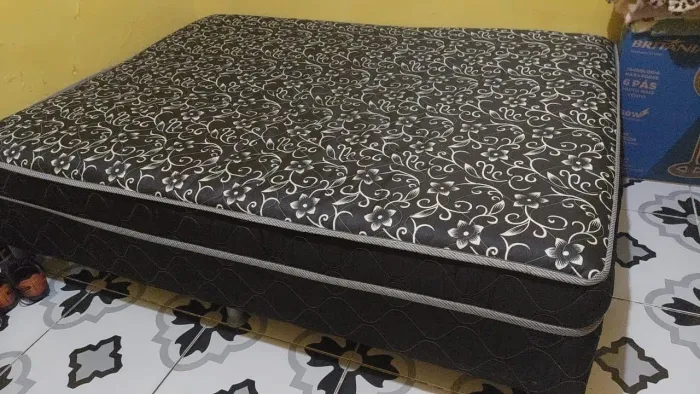 Cama
