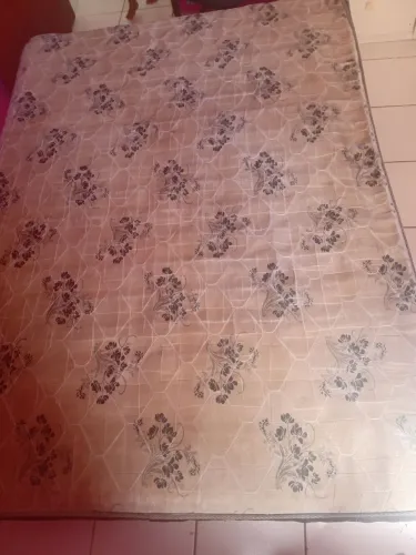 Cama