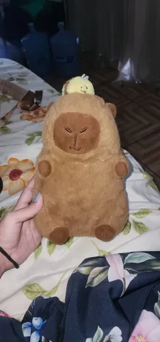 Ursinho capivara