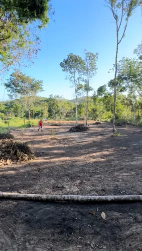 Lotes na beira do rio nova dias Dávila