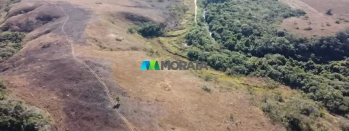FAZENDA À VENDA - 100 HECTARES - BARBACENA (MG)
