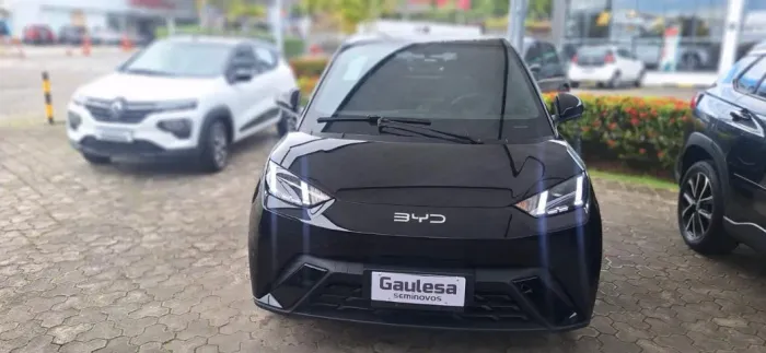 BYD Dolphin Mini (Elétrico) 2025