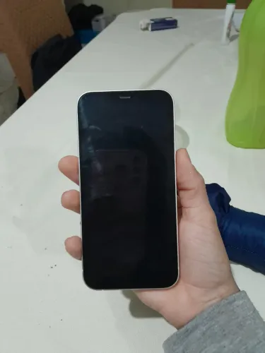 iPhone 12 