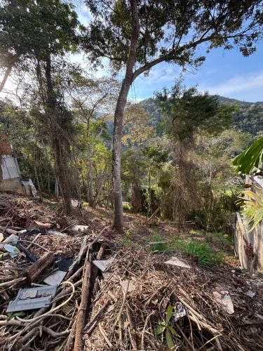 TERRENO À VENDA EM ITAIPAVA - 730 m² | VISTA LIVRE PARA O VERDE