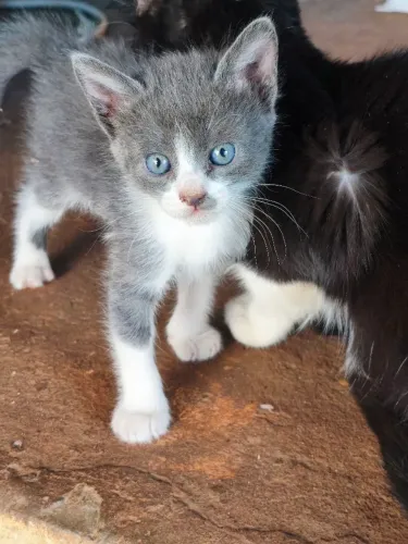 Vc me aceita em sua casa?