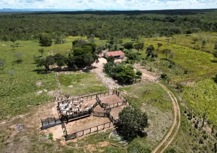 Fazenda Boa Esperança à venda no município de Paranã - Tocantins
