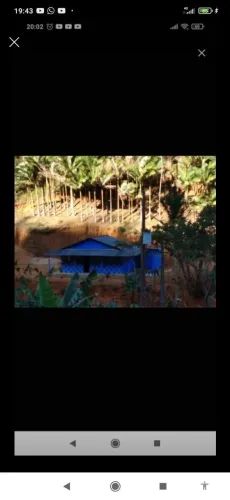 Sítio 3 hectares ESCRITURADO!!! Com córrego e nascente. 