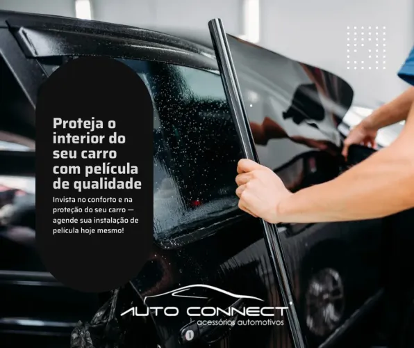 Película Window Carbon 