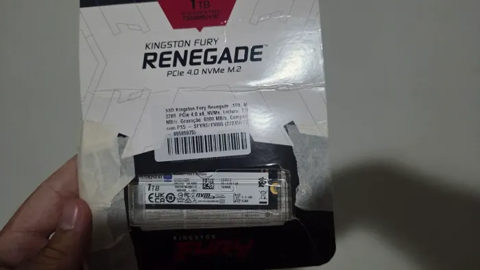 SSD NVME 1TB KINGSTON FURY RENEGADE