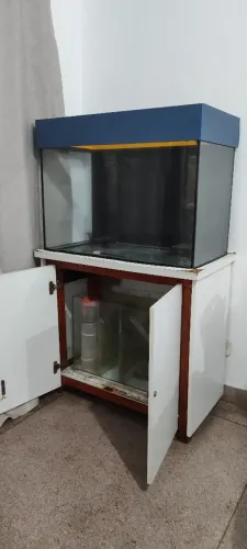 Aquário 80x40x50 sump e móvel.