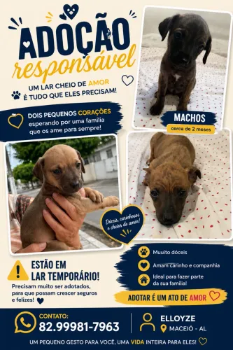 Adoção Responsável