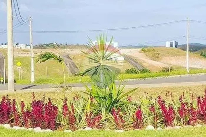 Loteamento aberto Dharma Ville, Bairro planejado em Cabo de Santo Agostinho/PE _ Grupo Cap
