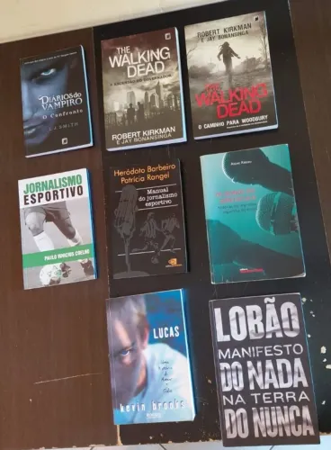 LOTE DE LIVROS SEMINOVOS