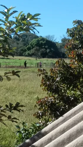 Sítio a 35 km de Udia - venda ou arrendamento