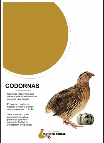 Pintos caipiras