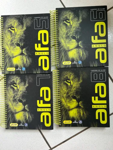 Livros Anglo (POUCO USADOS)