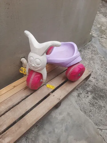 Tico tico bandeirantes