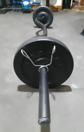 Barra W + 2 Anilhas de 5kg Ferro