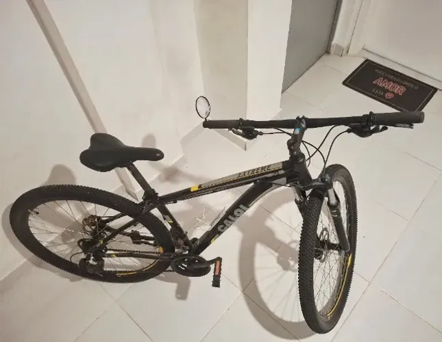 CALOI EXTREME (aro 29)