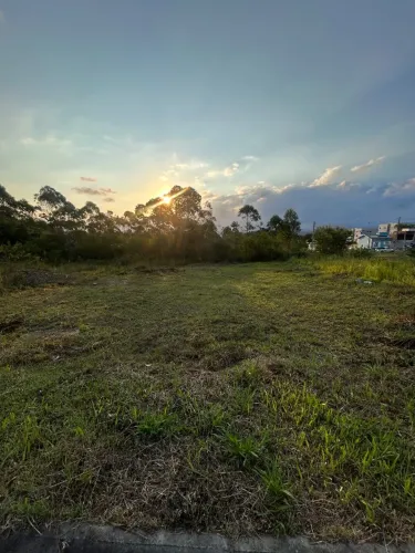 Terreno no loteamento Altos da Floresta - Vila Floresta - Criciúma