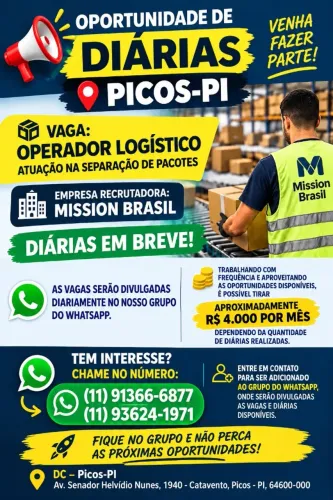OPERADOR LOGISTICO