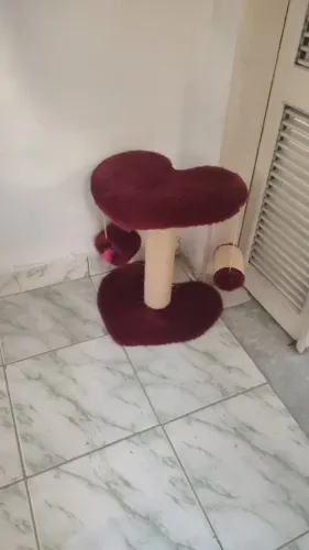 Arranhador gatos