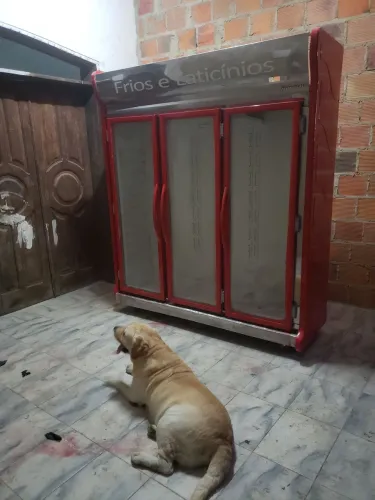 Vendo expositor três portas motor 220vts zap *