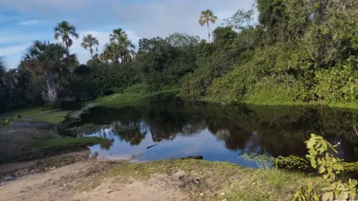 Imóvel para venda tem 18427518 metros quadrados em Zona Rural - Bonito de Minas - MG
