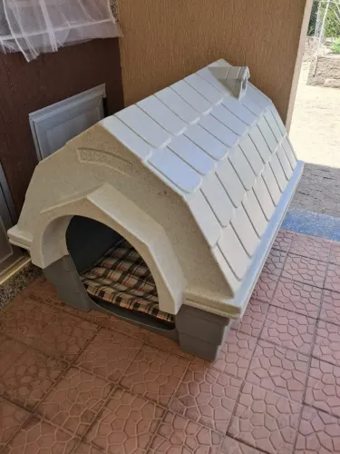Casinha cachorro médio porte