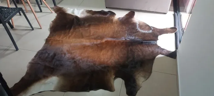 Tapete pele de vaca novo sem uso. 900.00
