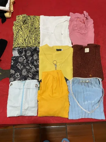 Lote de roupas (Blusas)