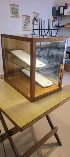 Vitrine expositora em vitro e madeira