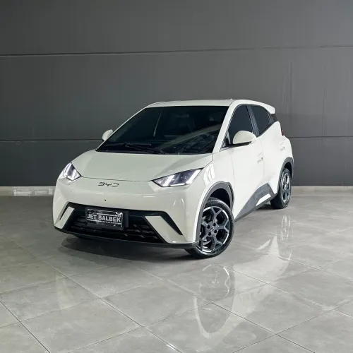 BYD Dolphin Mini (Elétrico) 2025