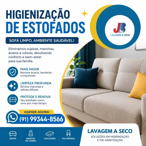 Seu Sofa Limpo