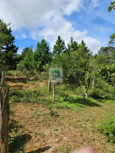 Chácara para Venda em Mogi das Cruzes, Cocuera