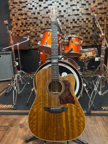 Violão strinberg modelo folk SD300c WS