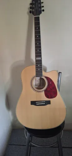 Violão Gianini Performance +Capa