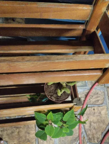 Floreira para jardim suspenso